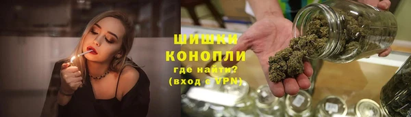 PSILOCYBIN Аркадак