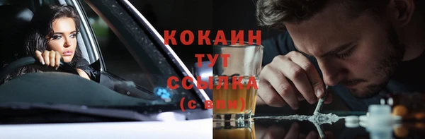PSILOCYBIN Аркадак