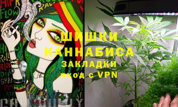 PSILOCYBIN Аркадак