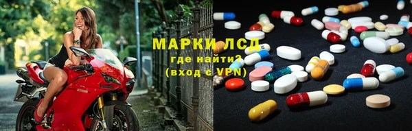 PSILOCYBIN Аркадак