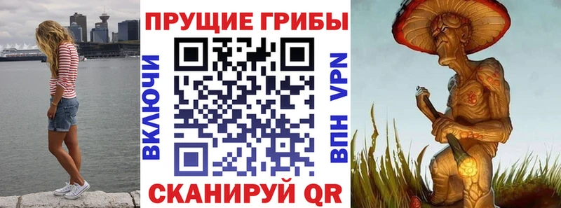 Псилоцибиновые грибы Magic Shrooms  Ливны 